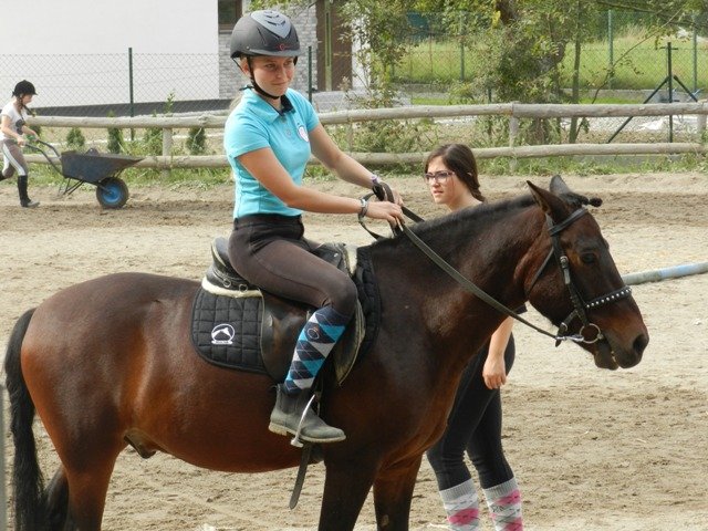 Babie Lato 2016